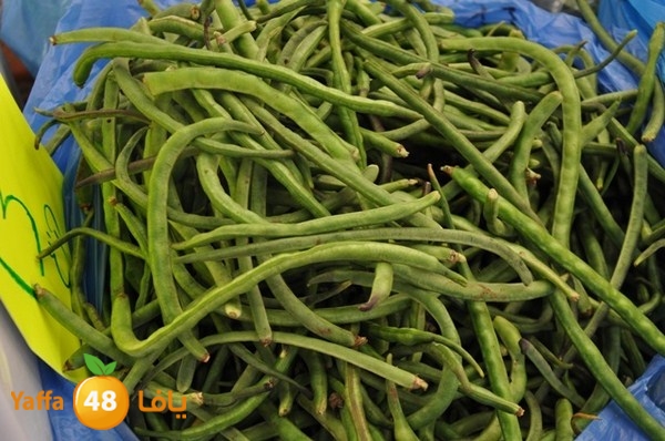 souq gan temar (20).JPG